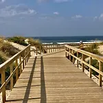 37 - Driftwood Ocean Peniche