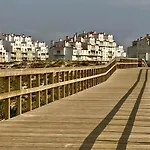 37 - Driftwood Ocean * Peniche